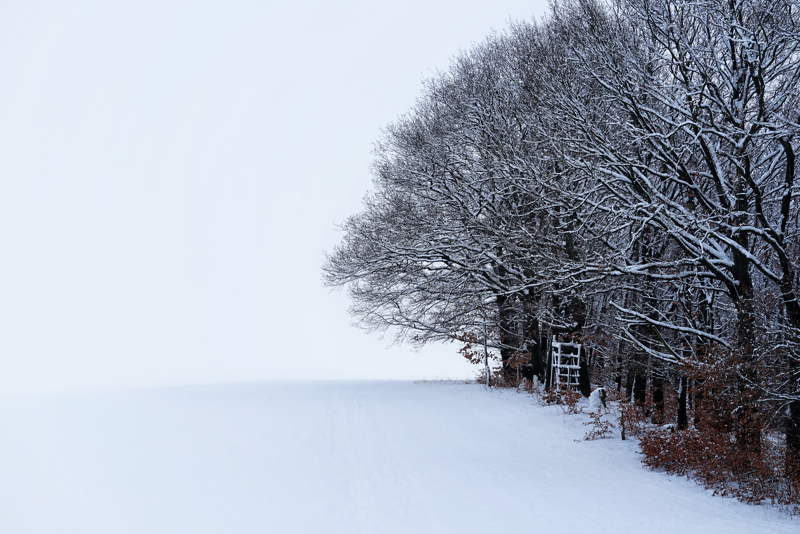 Winterlandschaft Bäume im Schnee