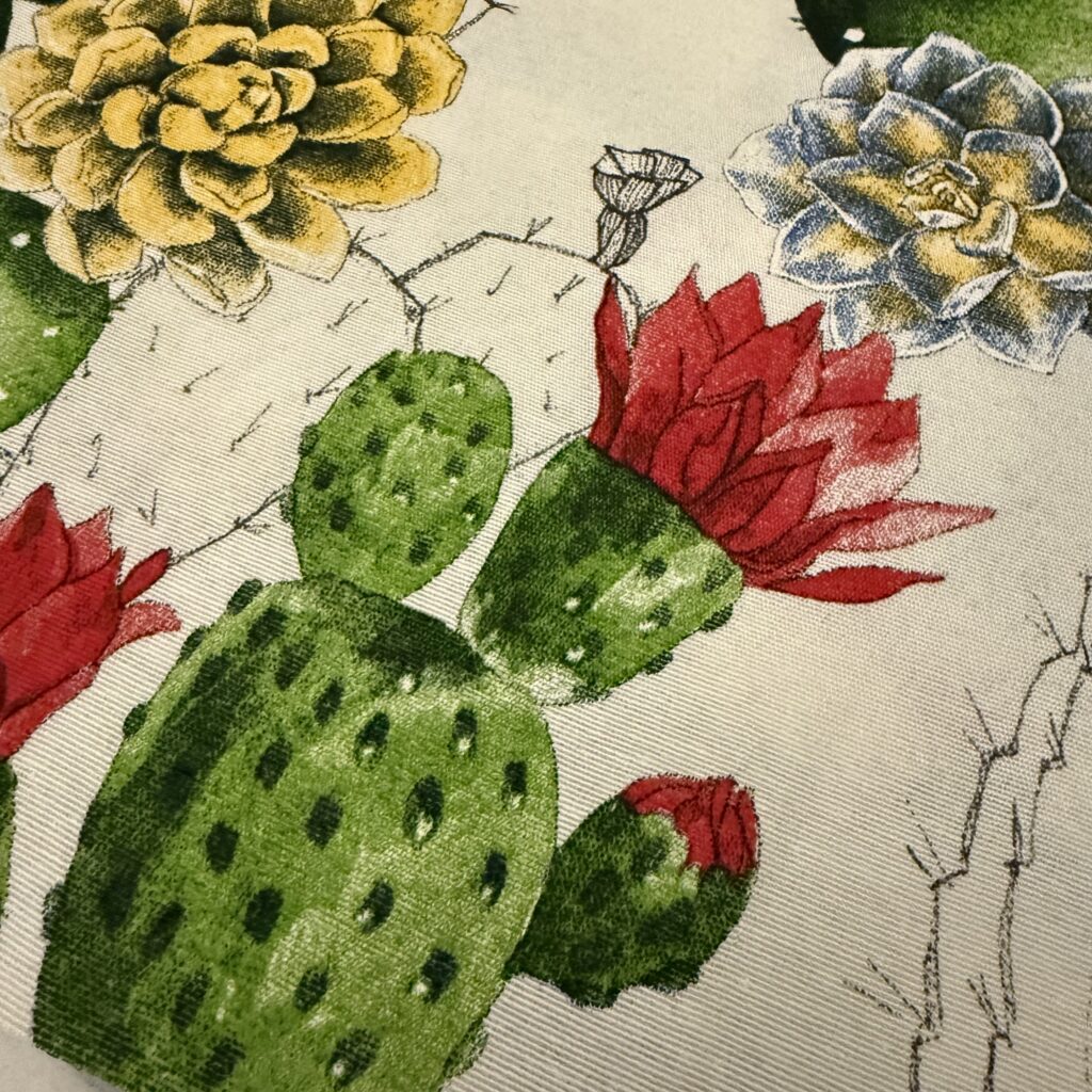 Kissen mit Kaktus von Bauchpiraten