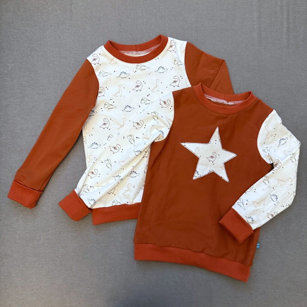 Langarmshirt mit Dinosauriern von Bauchpiraten